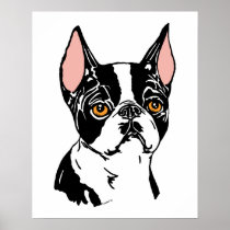 Boston Terriers Mascot nt posters