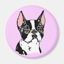 Boston Terriers Mascot nt magnets