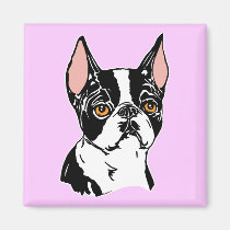 Boston Terriers Mascot nt magnets