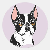 Boston Terriers Mascot nt stickers