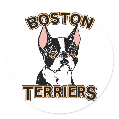 Boston Terrier Mascot