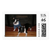 Boston Terriers postage by wmcgee Boston Terriers postage
