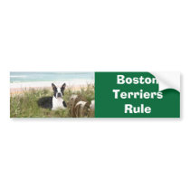Boston Terriers Rule Bumper Sticker Beachgrass bumper stickers