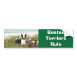 Boston Terriers Rule Bumper Sticker Beachgrass