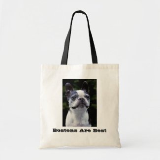 Bostons Are Best Boston Terrier Bag