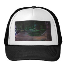 Boston's Public Garden Hat