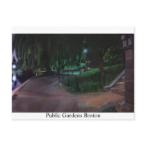 Boston's Public Garden Postcard