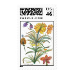 botanic52 stamp stamps