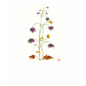 Botanic Heat t-shirts