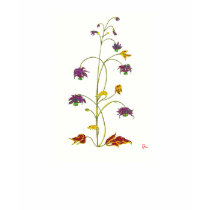 Botanic Heat t-shirts