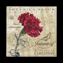 Botanica January Magnet magnets