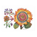 botanical46 posters