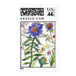 Botanical 55 Blue Flower Stamp stamps