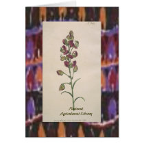 Botanical Art Card Five by LL11funway Botanical Art Card Five