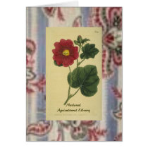 Botanical Art Card Two by LL11funway Botanical Art Card Two