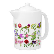 Botanical Art Study Teapot