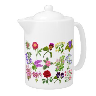 Botanical Art Study Teapot teapot