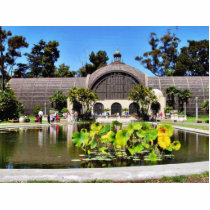 Botanical Buildings Arboreum photo sculptures