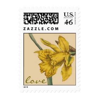 Botanical Daffodil Flower Love Postage stamp