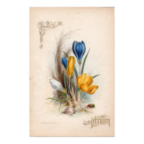 Botanical Engravings, February posters by woodylanefarm Botanical Engravings, February posters
