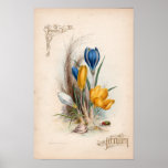 Botanical Engravings, February posters