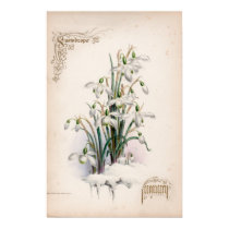 Botanical Engravings, January posters