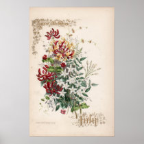 Botanical Engravings, July Print