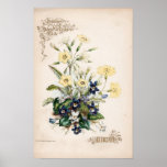 Botanical Engravings, March posters