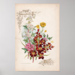 Botanical Engravings, May posters