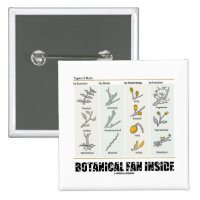 Botanical Fan Inside (Types Of Buds) 2 Inch Square Button