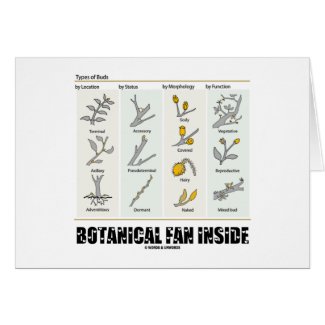 Botanical Fan Inside (Types Of Buds) card