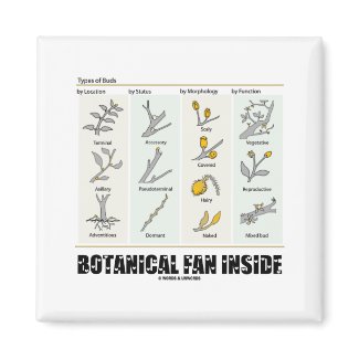 Botanical Fan Inside (Types Of Buds) magnet