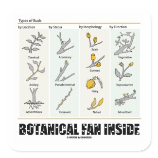 Botanical Fan Inside (Types Of Buds) sticker