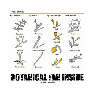 Botanical Fan Inside (Types Of Buds) shirt