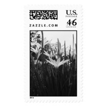 Botanical Garden, Atlanta, GA postage by JillMac58 Botanical Garden, Atlanta, GA postage