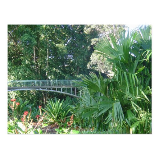 Botanical Gardens Bridge, Oahu Post Cards