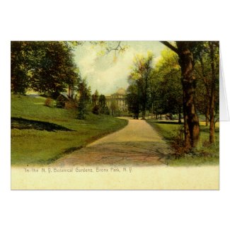 Botanical Gardens, Bronx New York 1905 vintage card