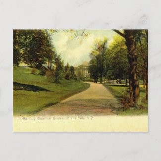 Botanical Gardens, Bronx New York 1905 vintage postcard
