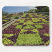 Botanical Gardens, Funchal, Madeira Islands, Mouse Pad