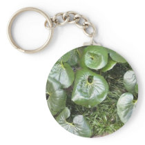 Botanical Gardens Keychain 2 keychains
