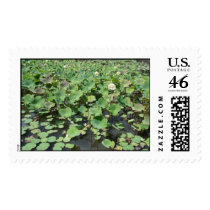 Botanical gardens postage