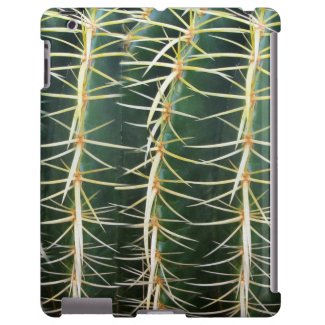 Botanical Green Sphere Cactus