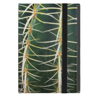 Botanical Green Sphere Cactus