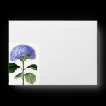 Botanical Hydrangea Card Envelope envelopes