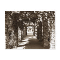 botanical pathway postcards by iiiyaaa botanical pathway postcards