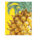 Botanical Pineapple in Yellow posters