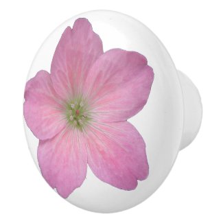 Botanical Pink Geranium Flower on any Color