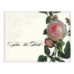 Botanical Pink Rose, Lilac Save the Date Postcard