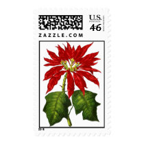Botanical Poinsettia Postage postage by Jaenne Botanical Poinsettia Postage postage