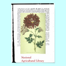 Botanical Print Last posters